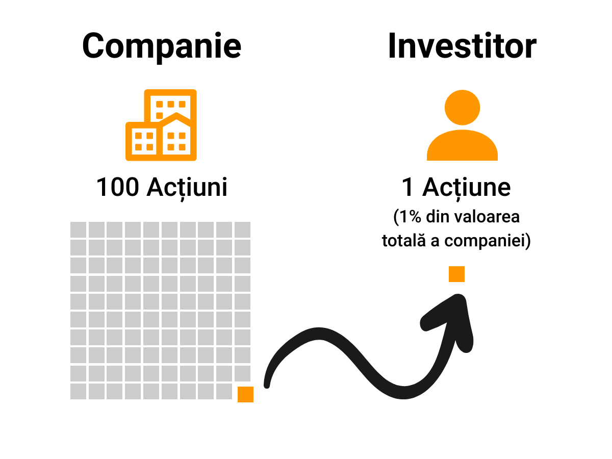 ilustratie ce excplica investitiile in actiuni